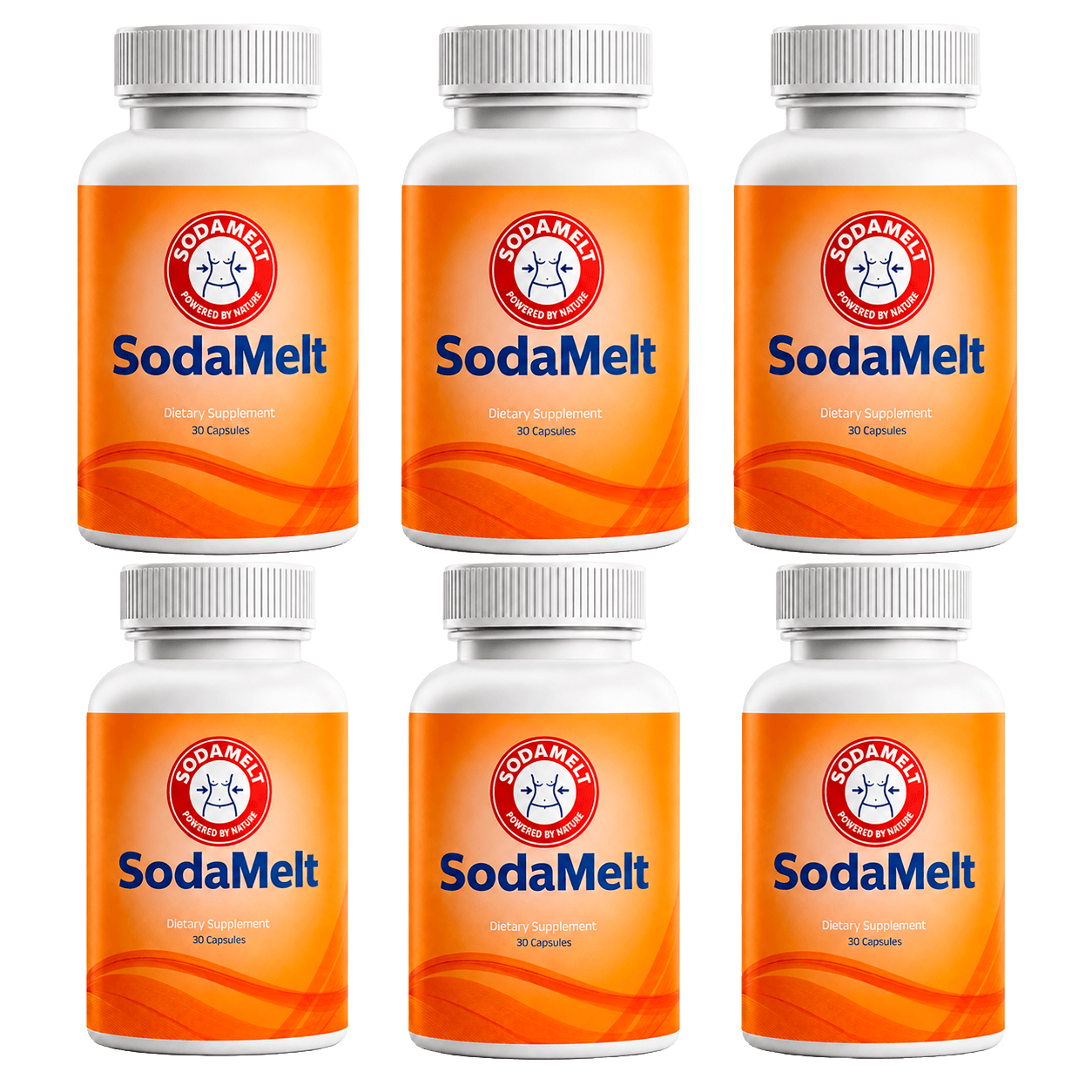 SodaMelt 6-bottle pack